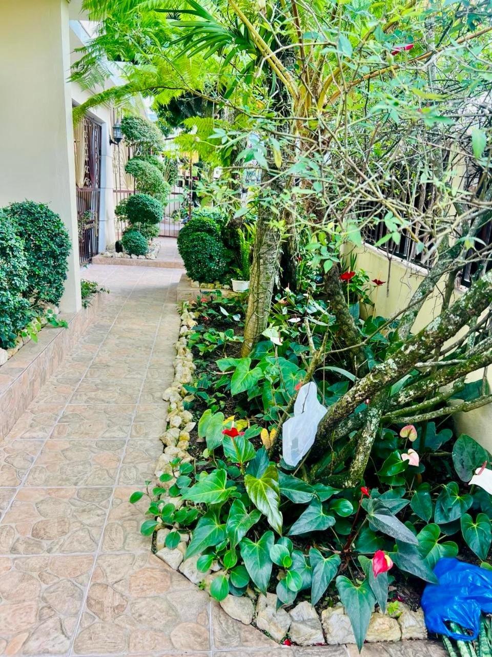 Vila Oasis Dona Elena Jarabacoa Exteriér fotografie
